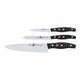 Zwilling Set de 3 couteaux 'Twin Pollux'